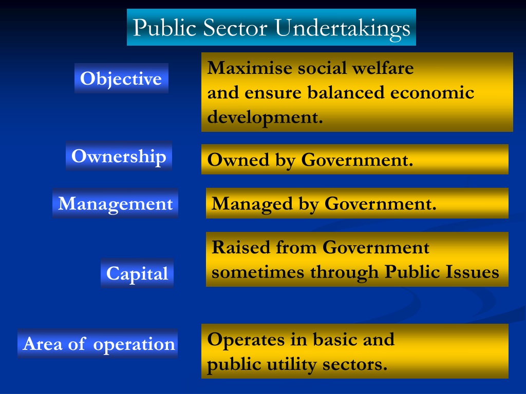 Privatization Of Public Sector Undertakings Meaning In Punjabi