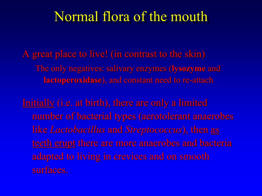 PPT - The Normal Microflora of the Human Body PowerPoint Presentation