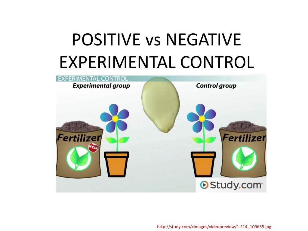 PPT POSITIVE Vs NEGATIVE EXPERIMENTAL CONTROL PowerPoint Presentation 