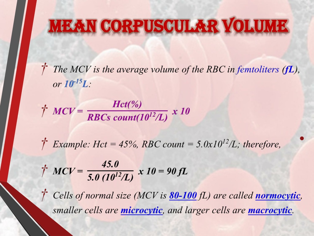 What Does High Mean Corpuscular Volume At Loretta Himes Blog