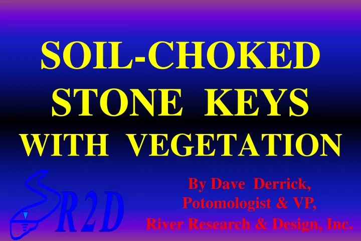 soil choked stone keys with vegetation n.