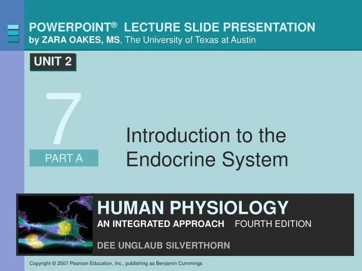 PPT - Introduction to the Endocrine System PowerPoint Presentation ...