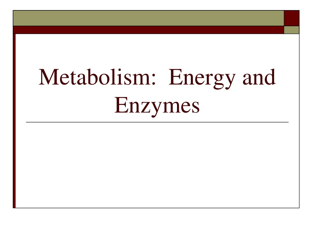 PPT - Metabolism: Energy and Enzymes PowerPoint Presentation, free ...