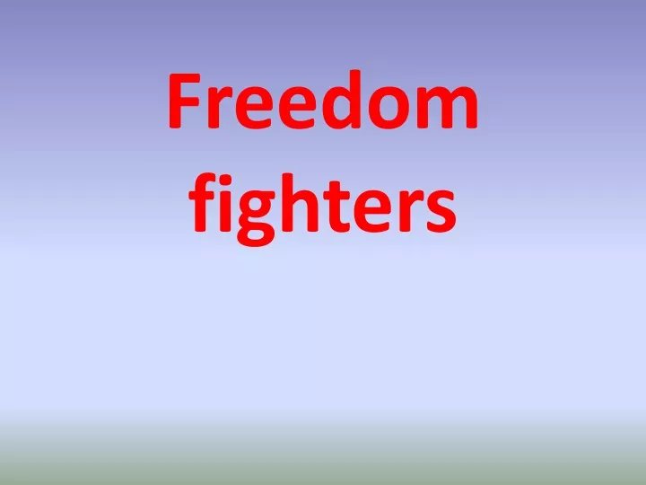 freedom fighters n.