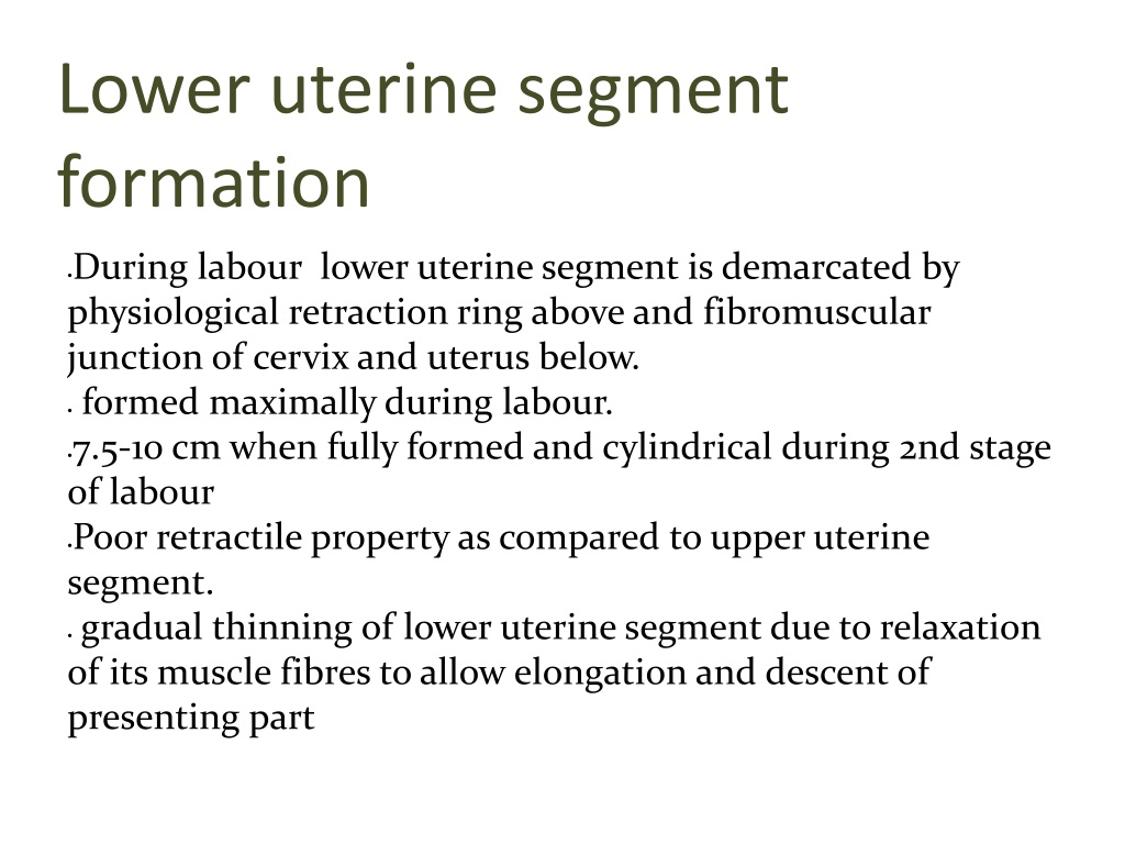 lower uterine segment formation l