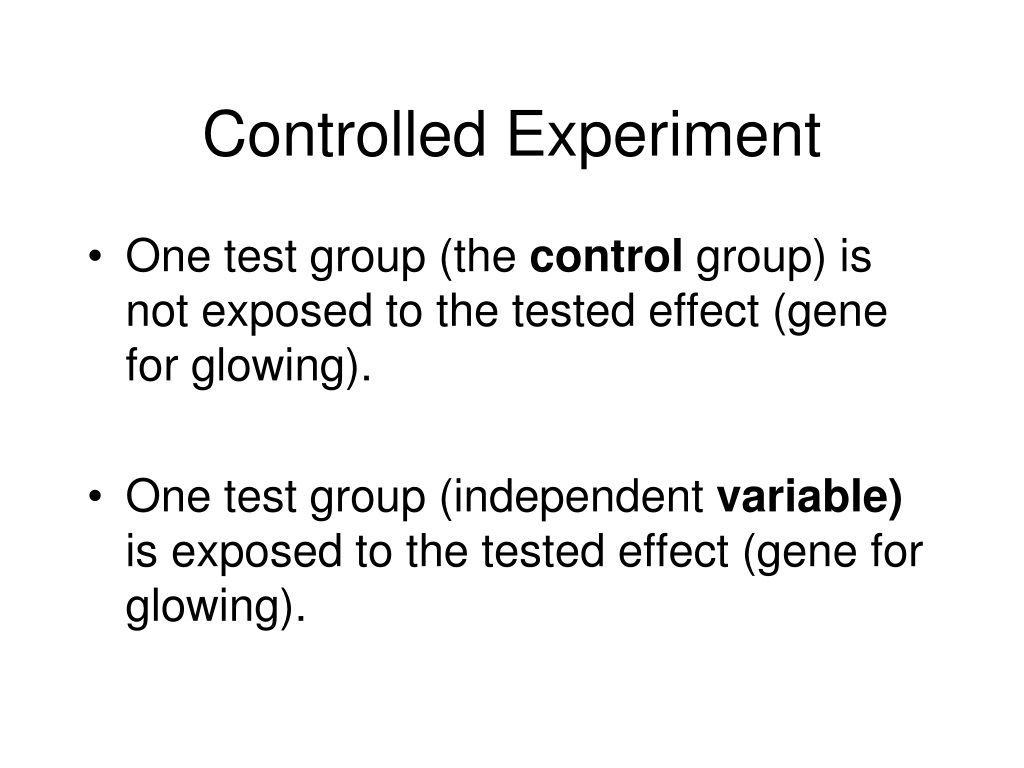 what-is-a-controlled-experiment