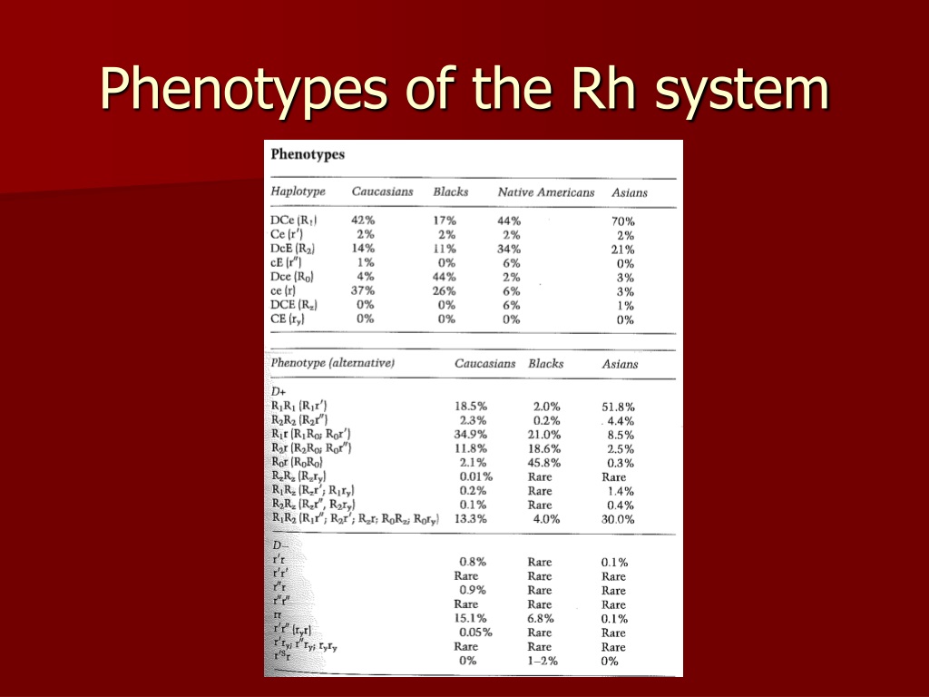 RHCE Real Brain Dumps