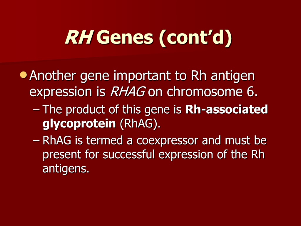 New RHCE Braindumps Pdf