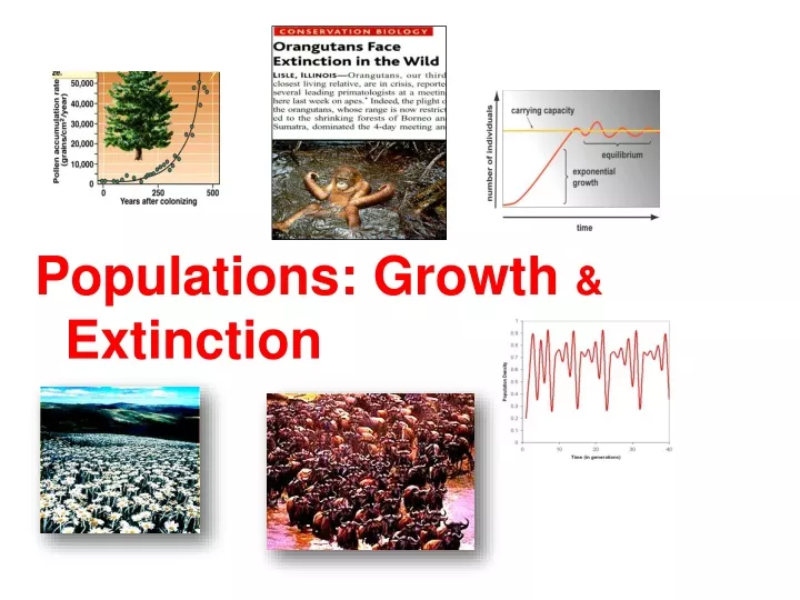 PPT - Populations: Growth & Extinction PowerPoint Presentation, Free ...