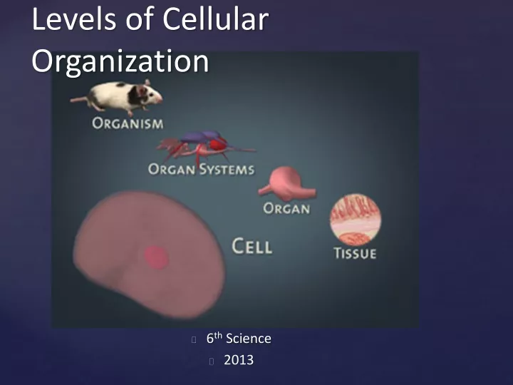 ppt-levels-of-cellular-organization-powerpoint-presentation-free