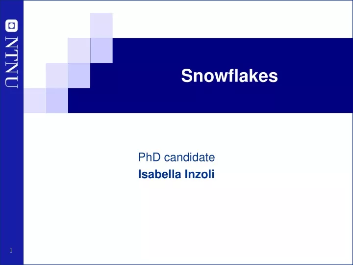 snowflakes n.