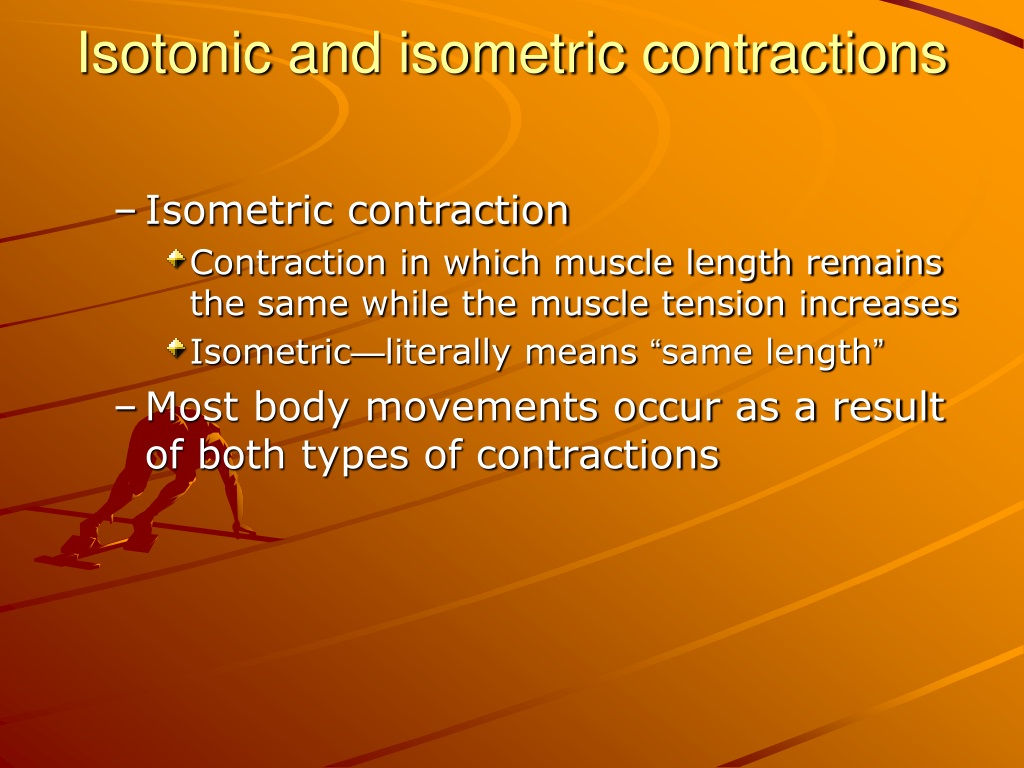 PPT - Chapter 11 Physiology Of The Muscular System PowerPoint ...