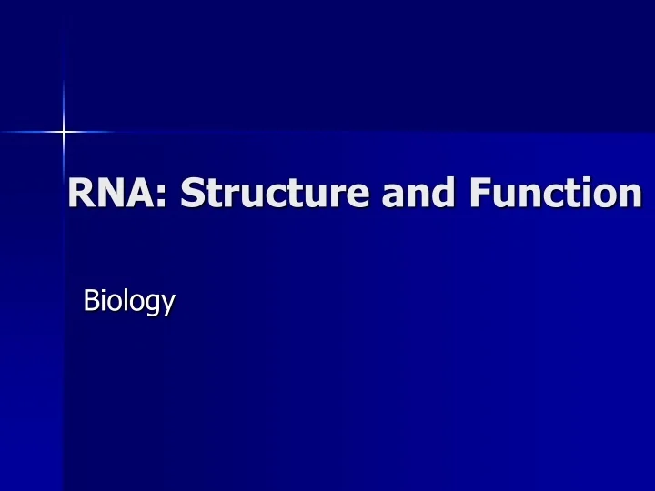 PPT RNA Structure and Function PowerPoint Presentation, free