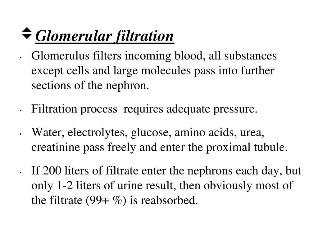 Ppt Urine Analysis Powerpoint Presentation Free Download Id9430102 2152