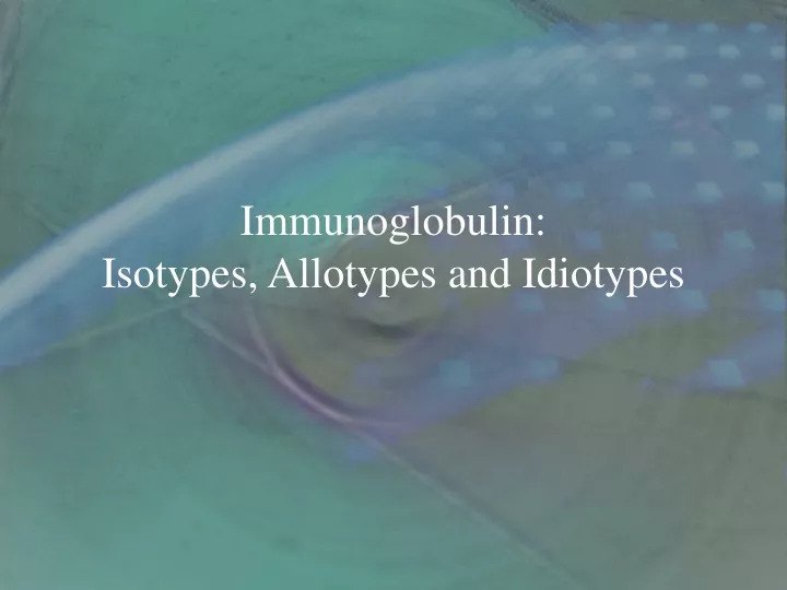 ppt-immunoglobulin-isotypes-allotypes-and-idiotypes-powerpoint