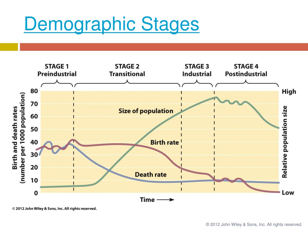 PPT - The Human Population PowerPoint Presentation, free download - ID ...