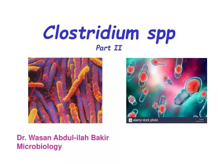 Ppt Clostridium Spp Part Ii Powerpoint Presentation Free Download