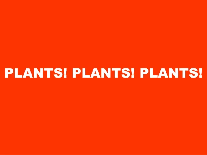 plants plants plants n.