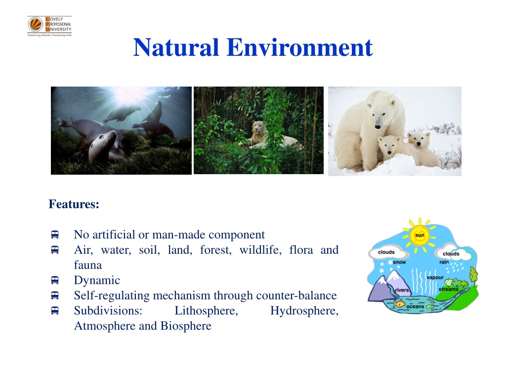 PPT - CHAPTER 1 Introduction To Environmental Studies PowerPoint ...