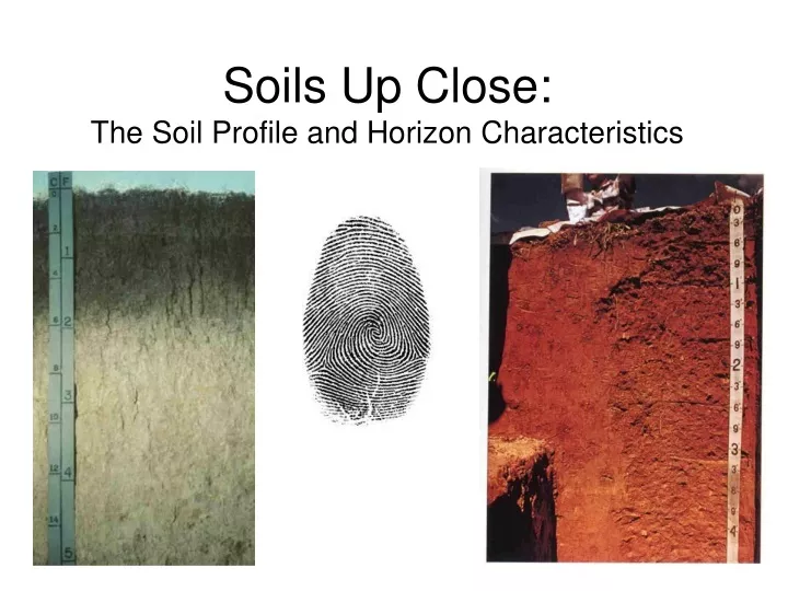 soils up close the soil profile and horizon characteristics n.