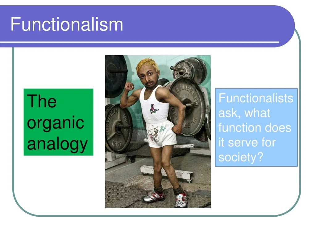 Functionalism Human Body Analogy Functionalism Human Body Analogy