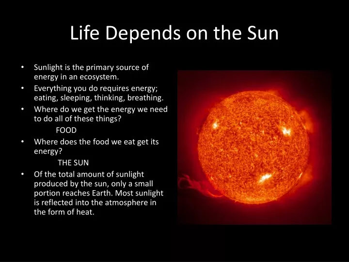 life depends on the sun n.