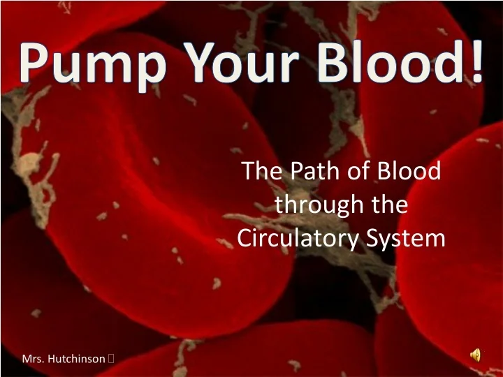 PPT Pump Your Blood! PowerPoint Presentation, free download ID9442192