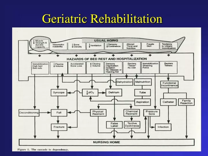 geriatric rehabilitation n.