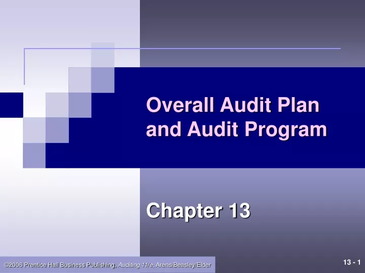 overall audit plan and audit program n.