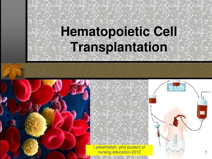 PPT - Hematopoietic Cell Transplantation PowerPoint Presentation, free ...