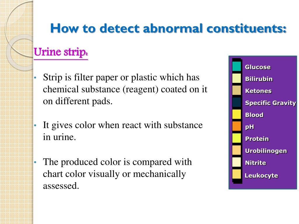 Ppt Chemical Bio Estimation And Analysis Of Urine Powerpoint Presentation Id9449820 2018
