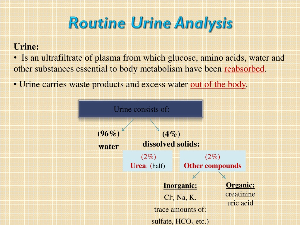Ppt Chemical Bio Estimation And Analysis Of Urine Powerpoint Presentation Id9449820 6691