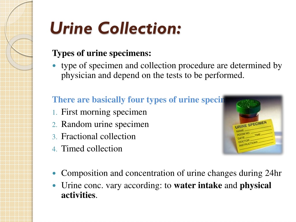 Ppt Chemical Bio Estimation And Analysis Of Urine Powerpoint Presentation Id9449820 8352