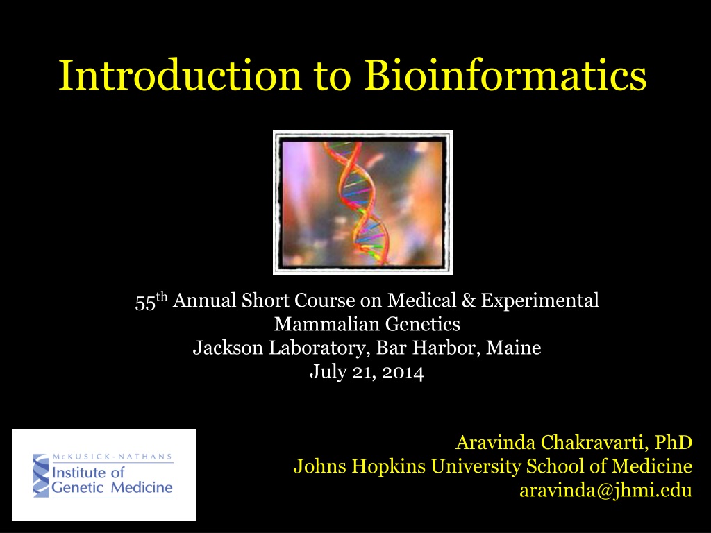 presentation on bioinformatics