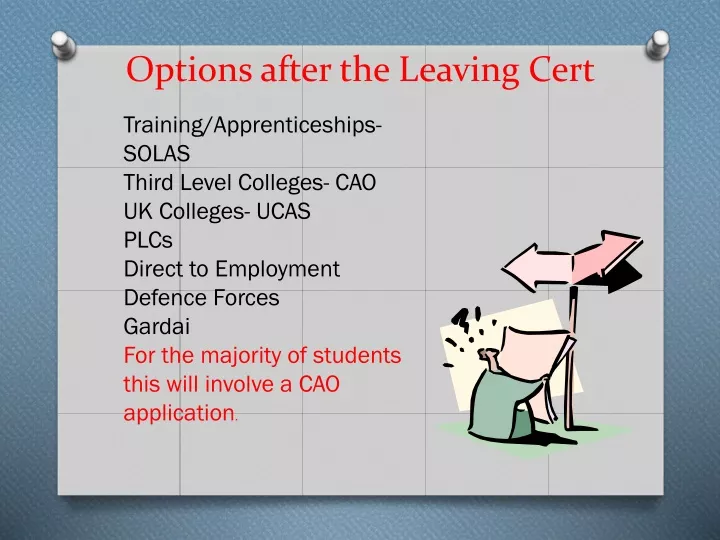 options after the leaving cert n.