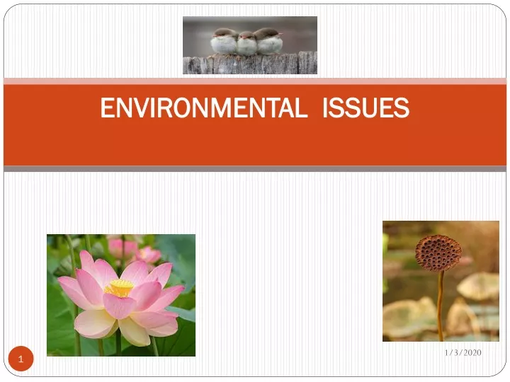 environmental issues n.