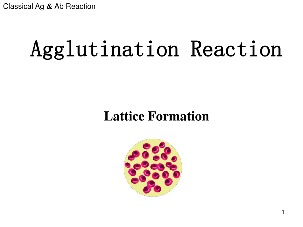 PPT Agglutination Reaction PowerPoint Presentation, free download