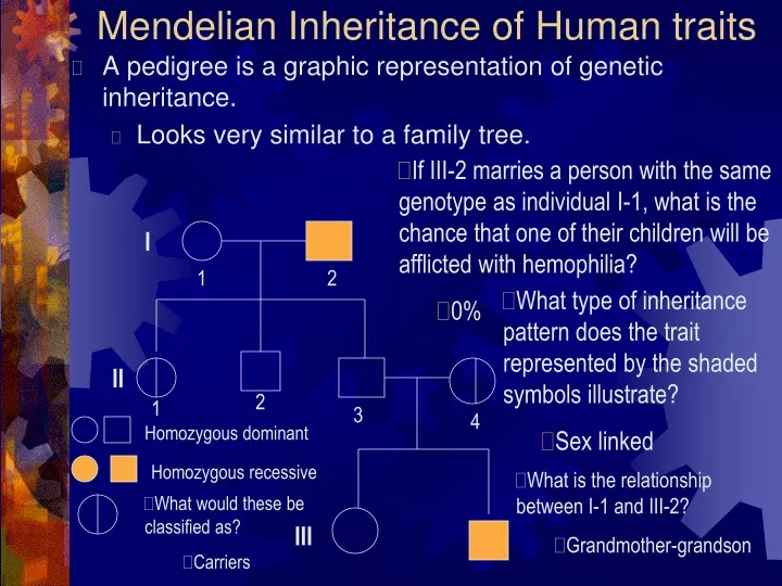 year-12-biology-mendelian-inheritance-wikipedia-the-free-encyclopedia