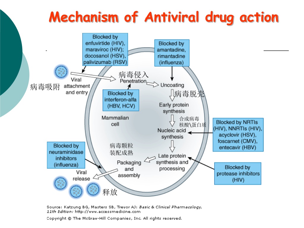 Mechanism of action. Mechanism of Action of drugs. The mechanisms of antiviral drugs. Mechanism of Antimicrobial drugs.