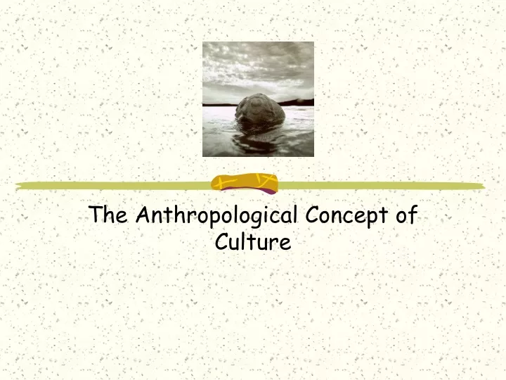 Ppt The Anthropological Concept Of Culture Powerpoint Presentation