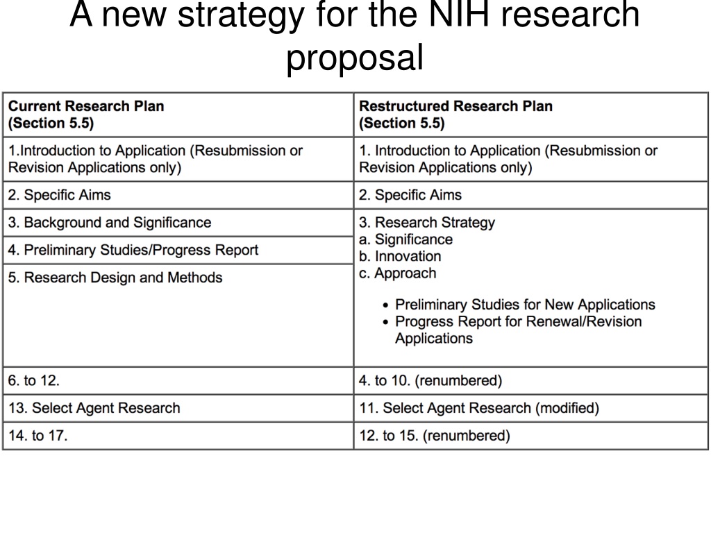 nih proposal research strategy