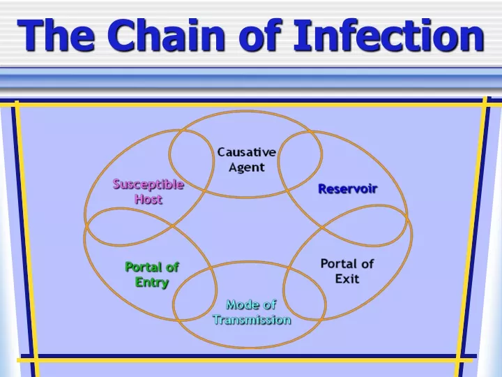 PPT - The Chain of Infection PowerPoint Presentation, free download ...