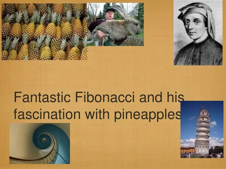 fantastic fibonacci and his fascination with pineapples n.