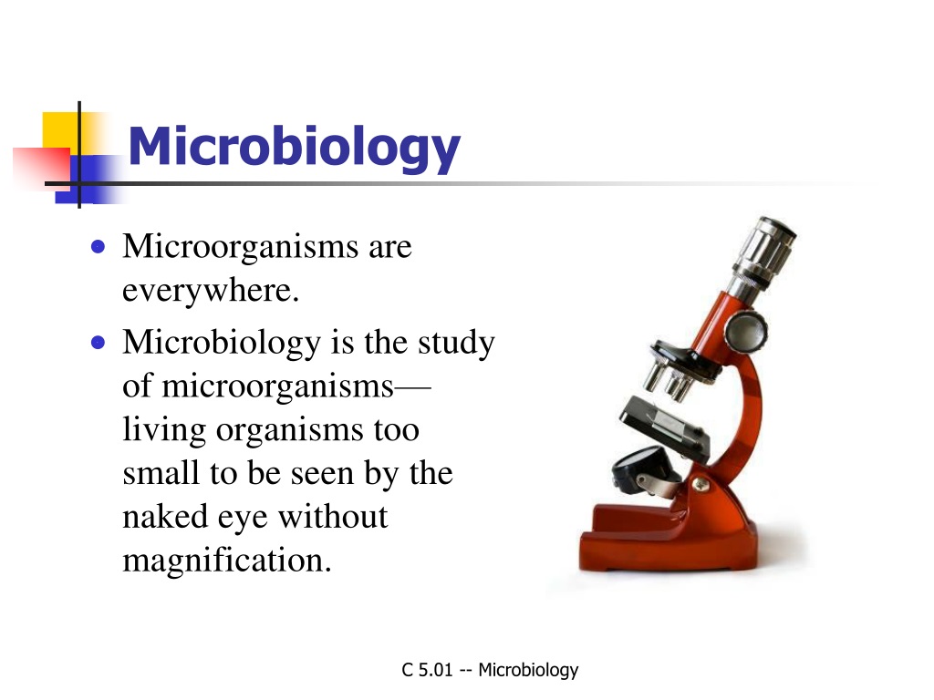 microorganisms research topics