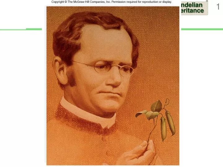 PPT - Gregor Mendel PowerPoint Presentation, Free Download - ID:9471631