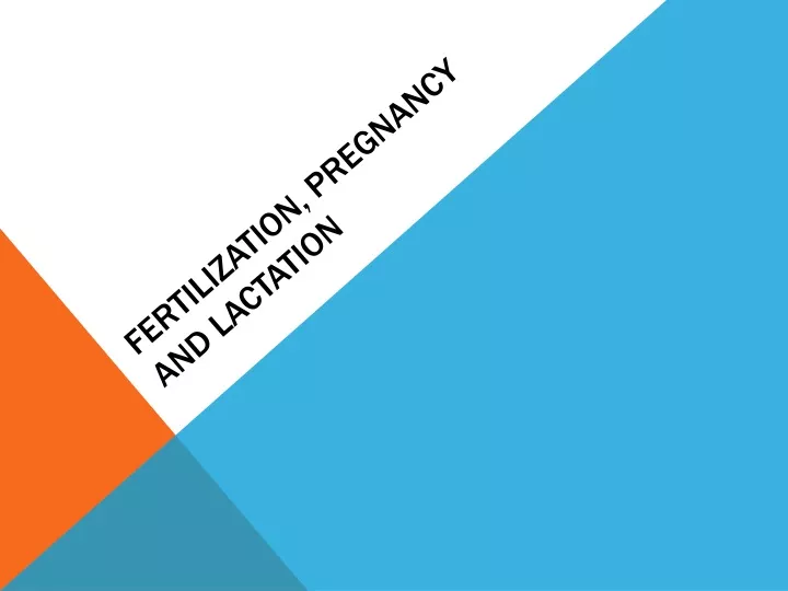 Ppt Fertilization Pregnancy And Lactation Powerpoint Presentation Id9472024 1467