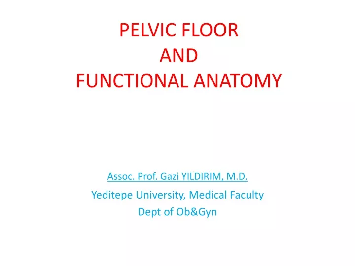 pelvic floor and functional anatomy n.