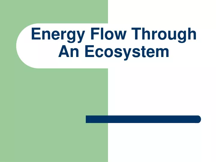 PPT Energy Flow Through An Ecosystem PowerPoint Presentation Free   Energy Flow Through An Ecosystem N 