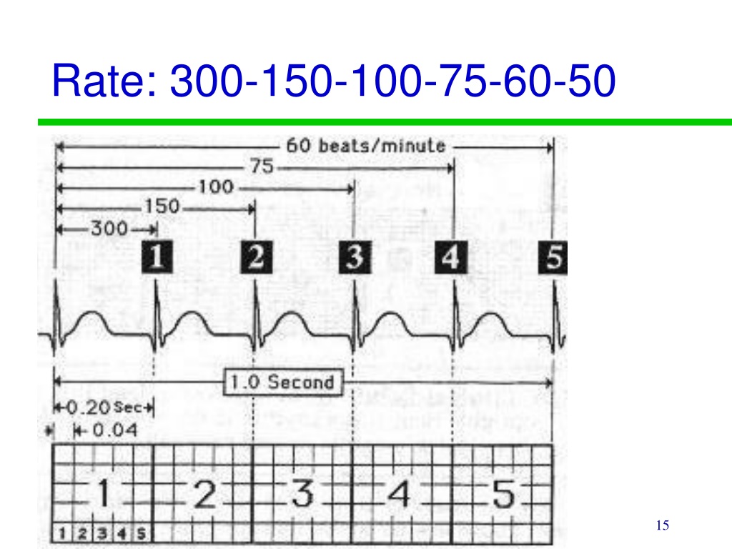 Ppt Lab Activity 24 Powerpoint Presentation Free Download Id