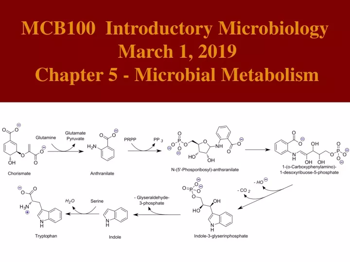 PPT - MCB100 Introductory Microbiology March 1, 2019 Chapter 5 ...